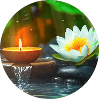 Beautiful Piano Music 🌿 Bamboo, Relaxing Music, Nature Sounds, Relieves Stress Music, Calming Music