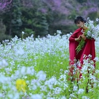 不能去人多的地方扎堆儿,赶在上巳节这天家门口春个游!Avoid crowds, and go spring outing nearby!丨Liziqi Channel