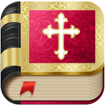 KJV Bible for teenagers