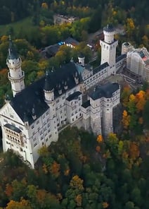 EP01 | After Divorce: I Become Hybrid Alpha's Luna