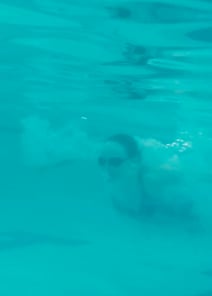 EP05 | Teacher's Pet