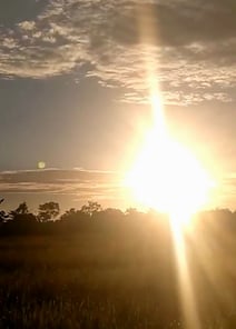 EP05 | Vengeance and Untold Love