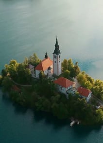 EP02 | After Divorce: I Become Hybrid Alpha's Luna