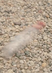 EP06 | The Mafia's Good Girl