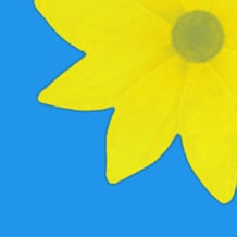 Gallery - photo album vault