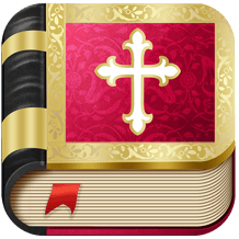 KJV Bible for teenagers