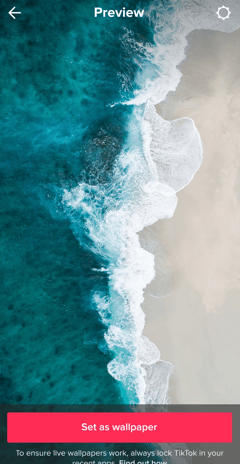 TikTok Live Wallpaper