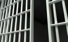 Teen 'swatter for hire' pleads guilty to making more than 375 swattings and fake mass-shooting and bombing calls