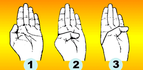 What Does Your Palm Say About You?