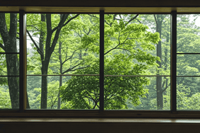 Understanding Window Repair Costs: Common Issues and Average Prices