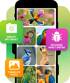 Image Recognition And Searcher