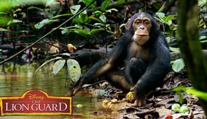 Who's Brainier? | It’s UnBungalievable! | The Lion Guard | Disney Junior