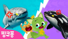 [NEW⭐️] 상어 VS 범고래, 누가 이길까?! | 핑크퐁, 그거 알아? | +모음집 | 과학동요 | 동물동요 | #공부친구 | 핑크퐁! 인기동요