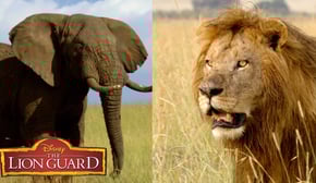 Who's Louder? | It’s UnBungalievable! | The Lion Guard | Disney Junior