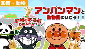 【知育アニメ】　アンパンマンと動物のお名前わかるかな？　アンパンマンとばいきんまんといっしょに動物園にいこう！