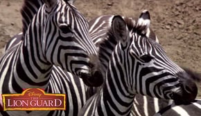 Who Has Better Hair? | It’s UnBungalievable! | The Lion Guard | Disney Junior