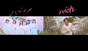 【MV比較】女子メンバーの「ハルユメ」とよっちの「ハルオレ」のMVを並べてみたら面白すぎたwww【ボンボンTV】