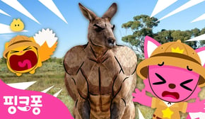 [NEW⭐️] 도망쳐! 알고보면 무시무시한 동물들! | 핑크퐁, 그거 알아? | 과학동요 | 동물동요 | #공부친구 | 핑크퐁! 인기동요