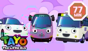 Episodios Tayo | 💜Compilación de vehículos Morados💜 | dibujo animado para niños | Tayo Español