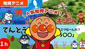 【知育アニメ】アンパンマン知育動画2023まとめ　約1時間分