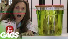 Human Head Alive In Jar, Knocking Biker's Head Off, Bird Flies Out Of Cage Prank