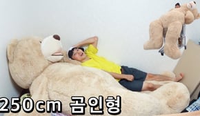 250cm 곰인형 (Giant Teddy Bear) - 허팝