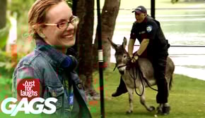 Cop Chases After Criminal With Donkey