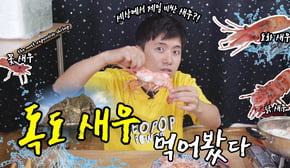 세상에서 제일 비싼?! 초거대 독도새우 3종 다 먹어봄! 대박 맛있음! (도화새우, 닭새우, 꽃새우) - 허팝(the most expensive giant shrimp)