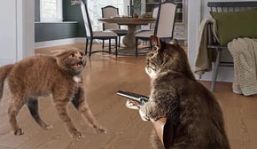 Funniest Pet Make You Unable To Stop Laughing 😹🐶Funny Animal Videos 2024