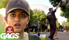 Cop Shoots Cat Off Of Tree