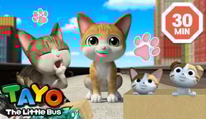 Happy International Cat Day!😸 | Tayo and the Cat Episodes Compilation | Tayo the Little Bus