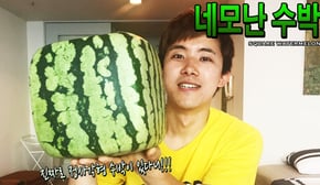 1년에 2주만 판다는 네모난 수박을 사먹어보았다! - 허팝 (Square Watermelon)