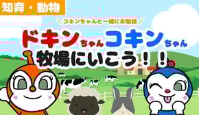 【知育アニメ】コキンちゃんと一緒にお勉強！　ドキンちゃん・コキンちゃんと牧場にいこう！動物わかるかな？【アンパンマン】