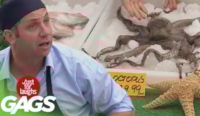 Fingers Crushed By Food Truck, Live Octopus, Mascot Falls Down Stairs Prank!