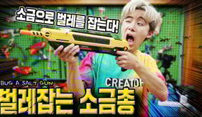 총알 대신 소금으로 파리,모기,나방 다잡아버렸습니다ㅋㅋㅋ벌레잡는 솔트건 (Bug a Salt Gun)