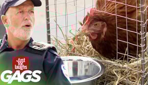 Super-Powered Chicken Takes A Stand Against The Cops