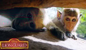 Who's Sillier? | It’s UnBungalievable! | The Lion Guard | Disney Junior