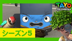 ちびっこバス タヨ l はたらくくるま l 5 シリーズ 7 エピソード l タヨの鳥の友だち l Tayo Japanese Episode