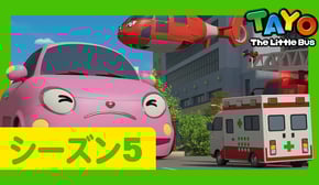 ちびっこバス タヨ l はたらくくるま l 5 シリーズ 21 エピソード l ハートが大きくなっちゃった l Tayo Japanese Episode