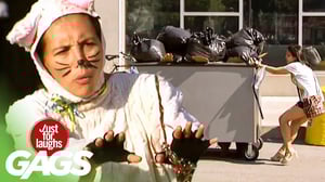 Dog In Garbage Cart Chases Cat Lady