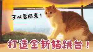 【黃阿瑪的後宮生活】打造全新貓跳台！可以看風景！