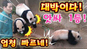 에버랜드 판다월드 💥맙소사!후왜이렇게 빨라요? 제트기 처럼 1등으로 달려갔어요 ㅋㅋ 😂
