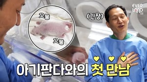 [단독] 쌍둥이 아기판다❤송바오 소중한 첫 만남 현장 l #판다와쏭 #119