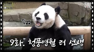 [ENG]한글날을 기념해 가족들을 위한 헌정시를 준비한 러바오│#러부지는LOVE지 EP.9 청풍명월 러 선생