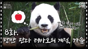 [ENG]러부지의 퍼스널 계절은?│ #러부지는LOVE지 EP.8 낭만 판다 러바오의 계절, 가을