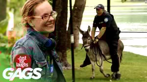Cop Chases After Criminal With Donkey