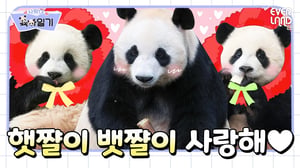 [ENG]어버이날 선물은? 루이후이 존재 그 자체💚│#사랑이 육아일기 EP6.엄마에게 300일이라는 시간은