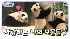 [ENG]이뻐이뻐💕 아이바오가 쓰는 루이후이 육아일기│#사랑이육아일기 EP1. 고마워♡ 엄마에게 와줘서!