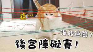 【黃阿瑪的後宮生活】後宮障礙賽！誰能通關？