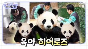 [ENG]루이&후이 통잠 자게 하는 육아 꿀팁!│#사랑이육아일기 EP3. 우리, 함께